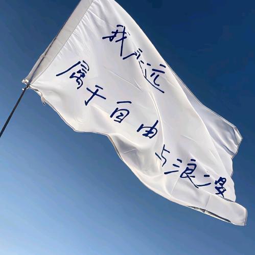 倘若南风知我意