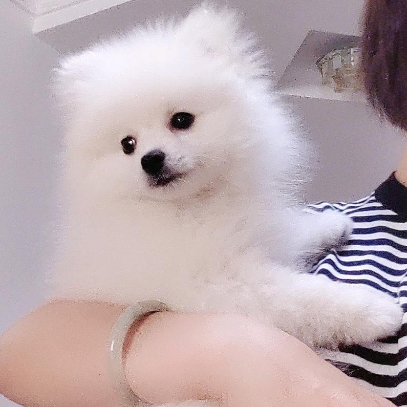 🌙ζ成全了舍得  ⭐