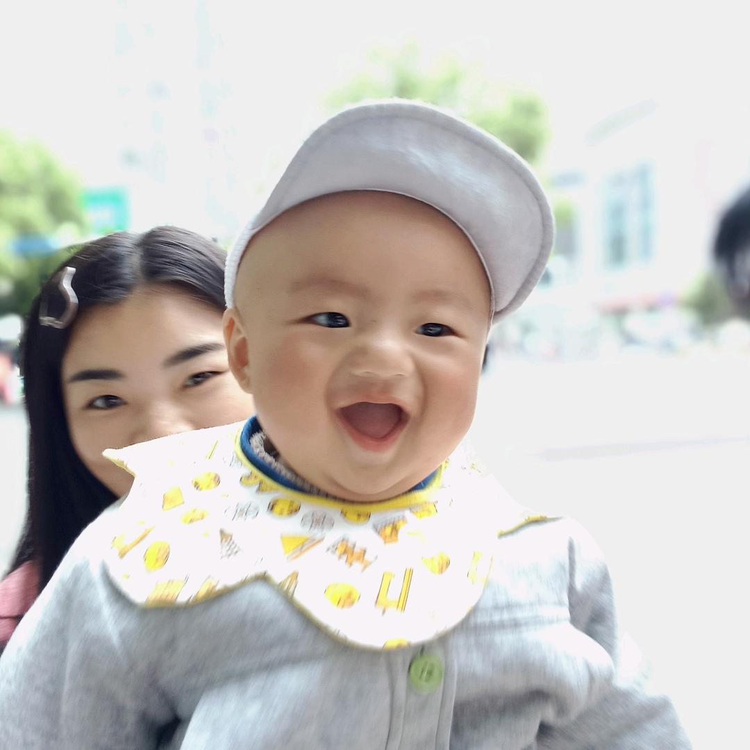 丢了幸福的猪        罗玲