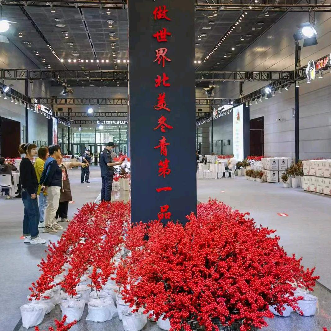 悦美果树盆栽