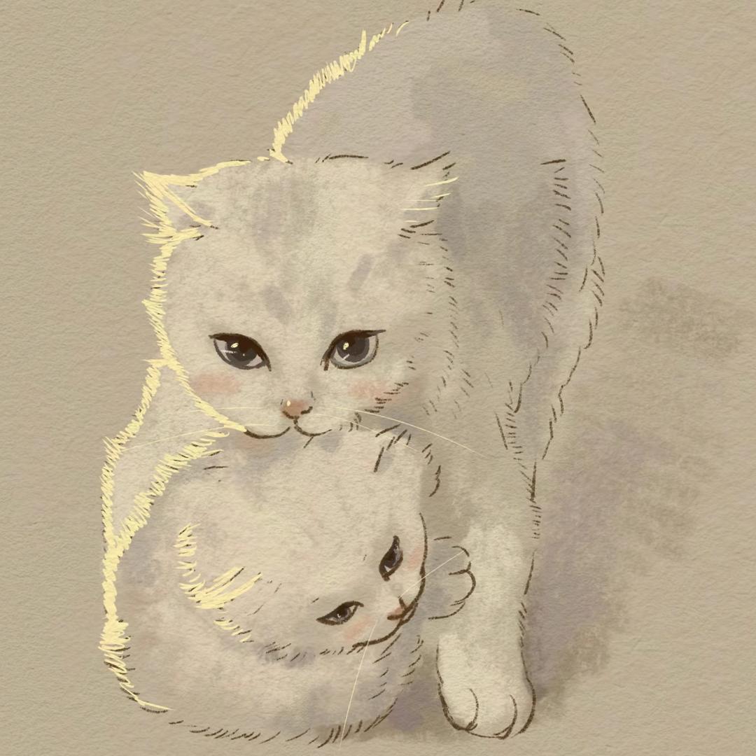 富顺欢姐讲房