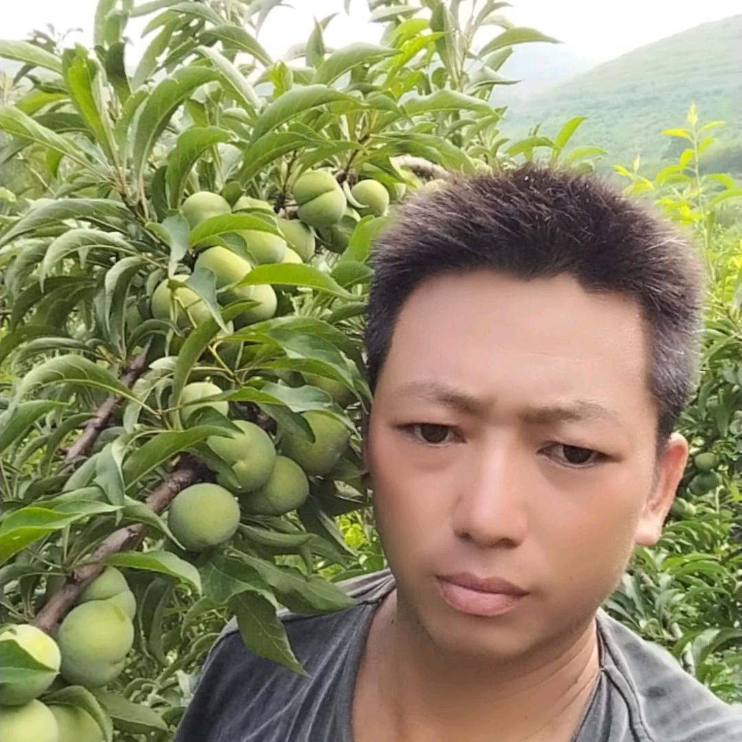 记录农村生活。新强