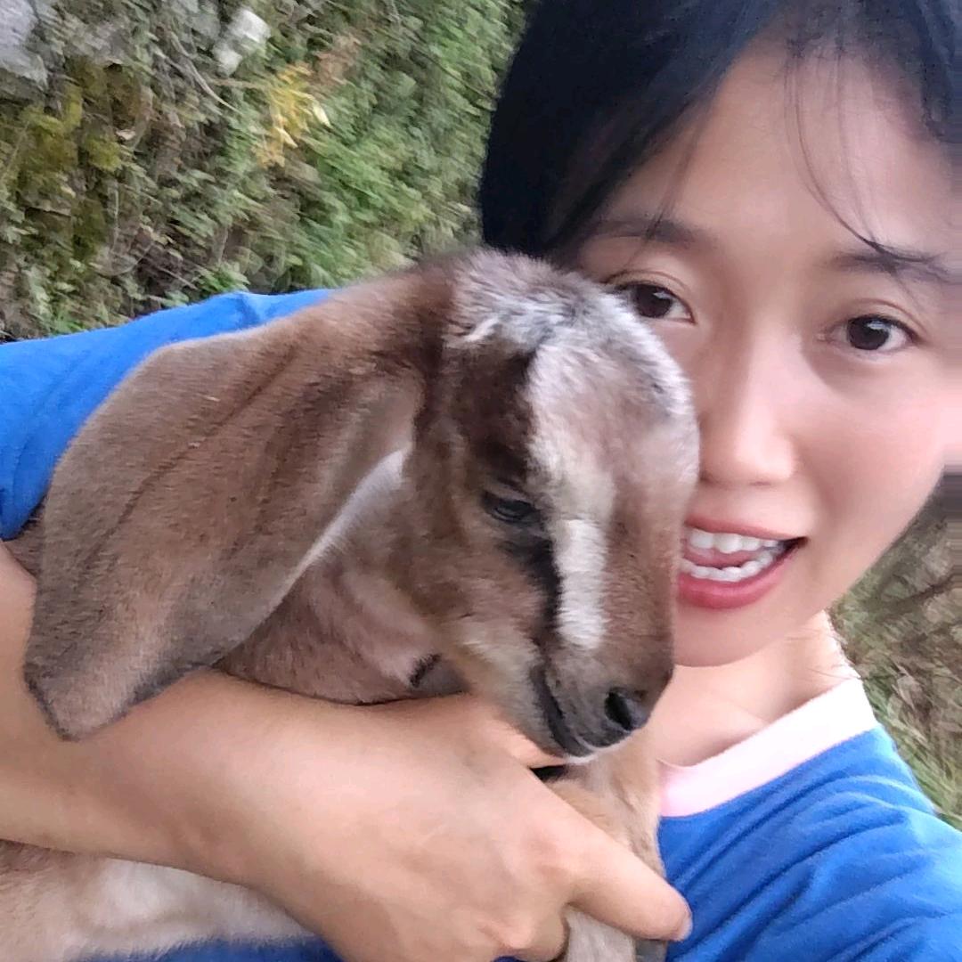 放羊的三妹