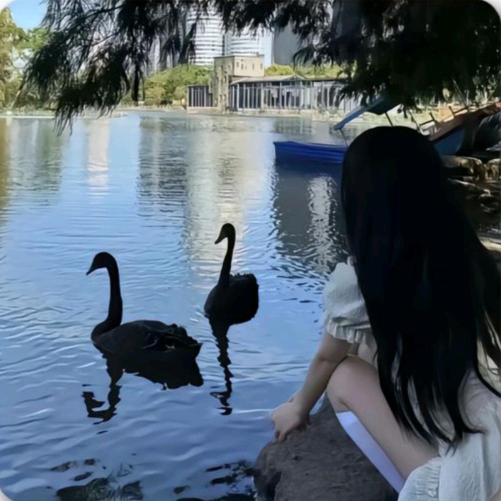 翎翎qi