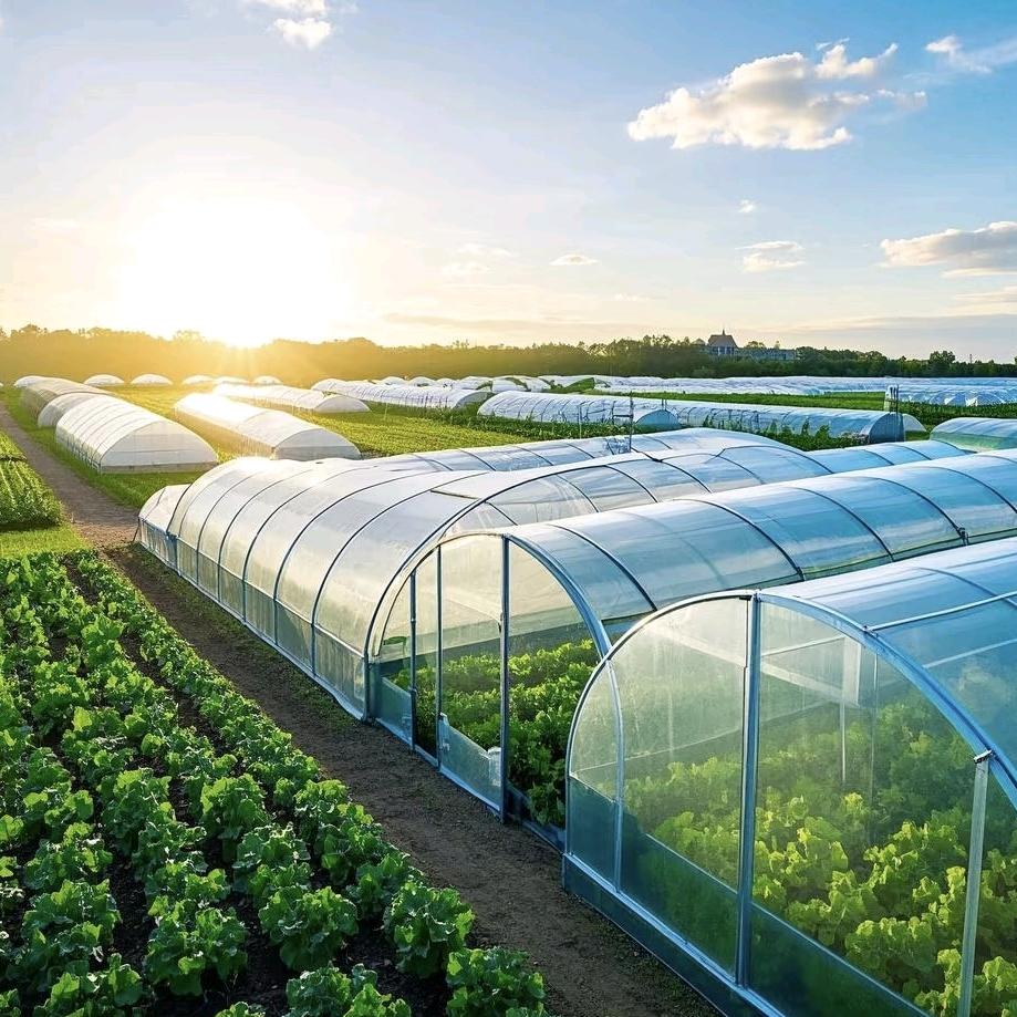 亚洲龙温室官方账号