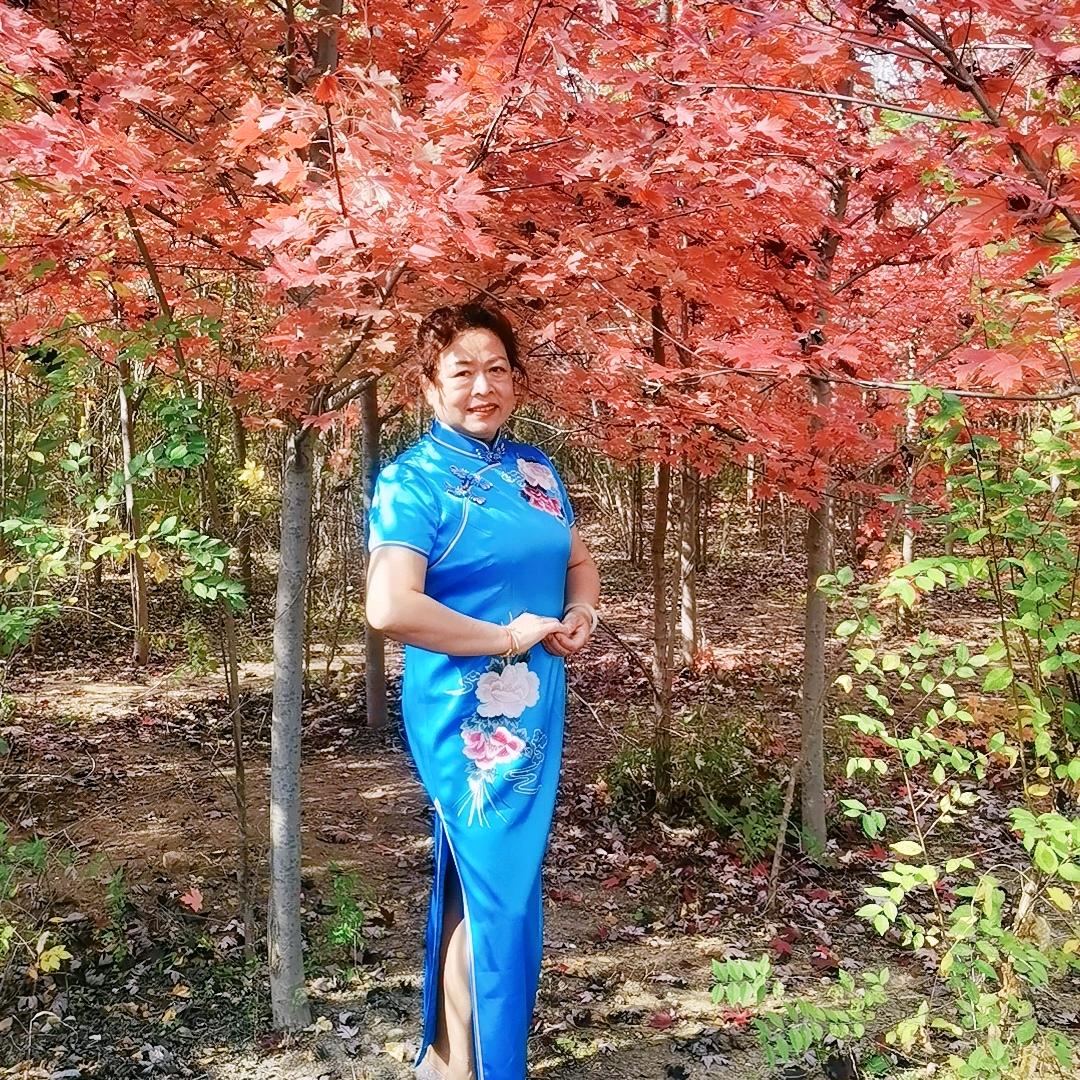 黑玫瑰