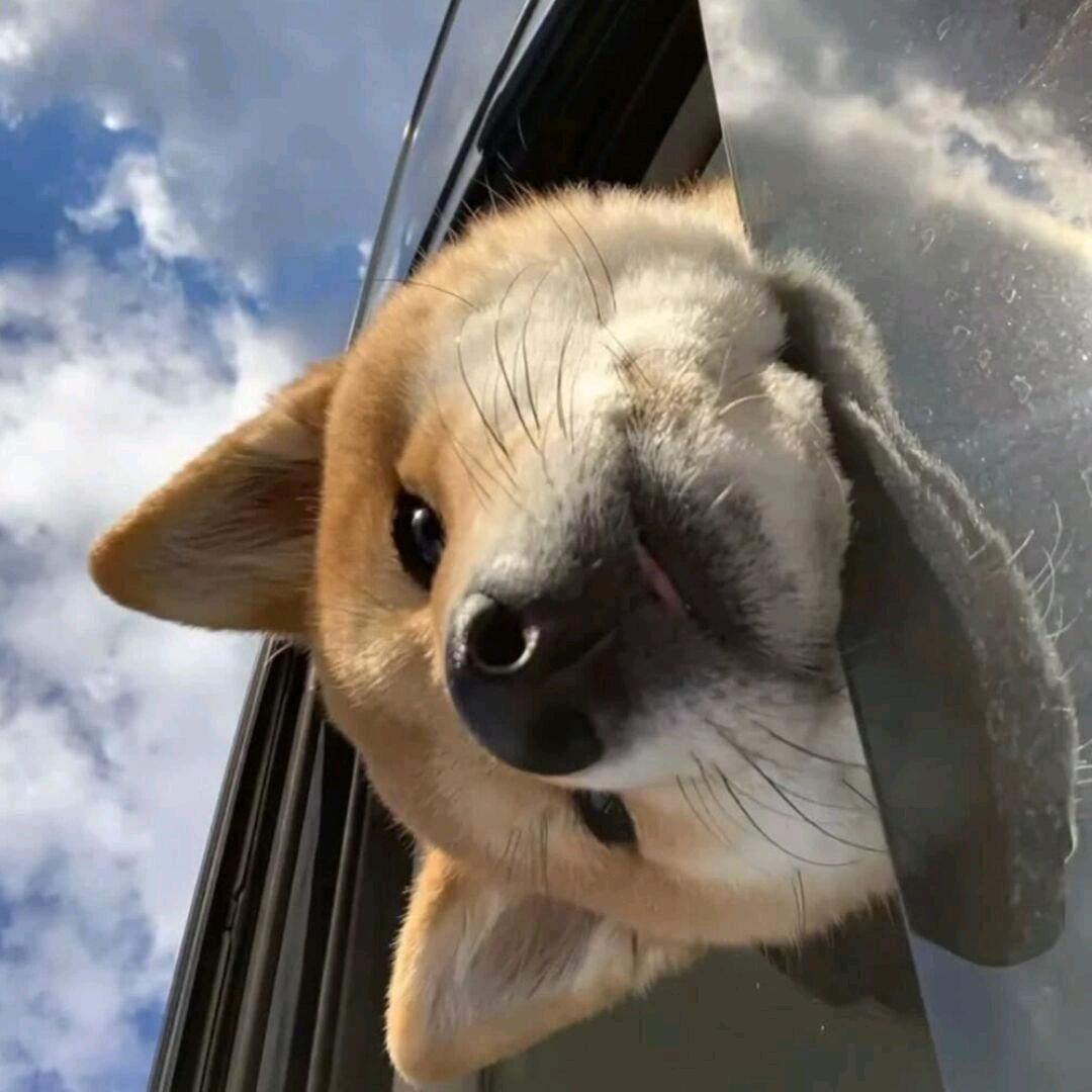 我不叫阿凉