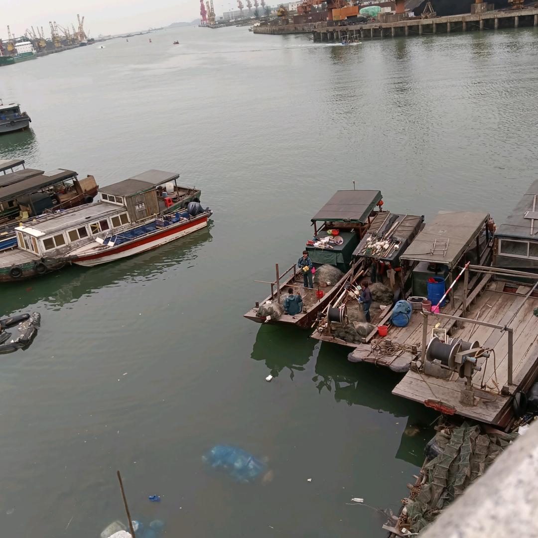 王哥幸福快乐的生活