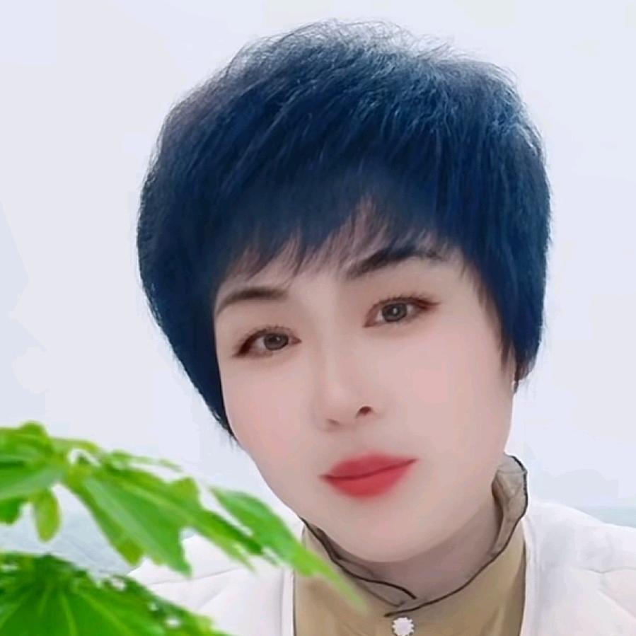 小杨妈妈