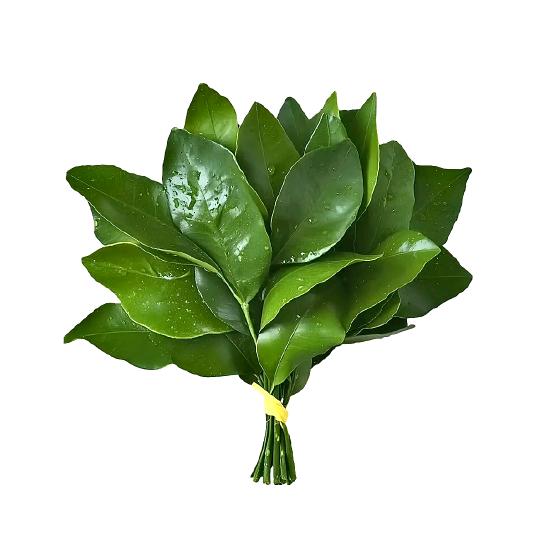 🌈🌈偷喝汽水