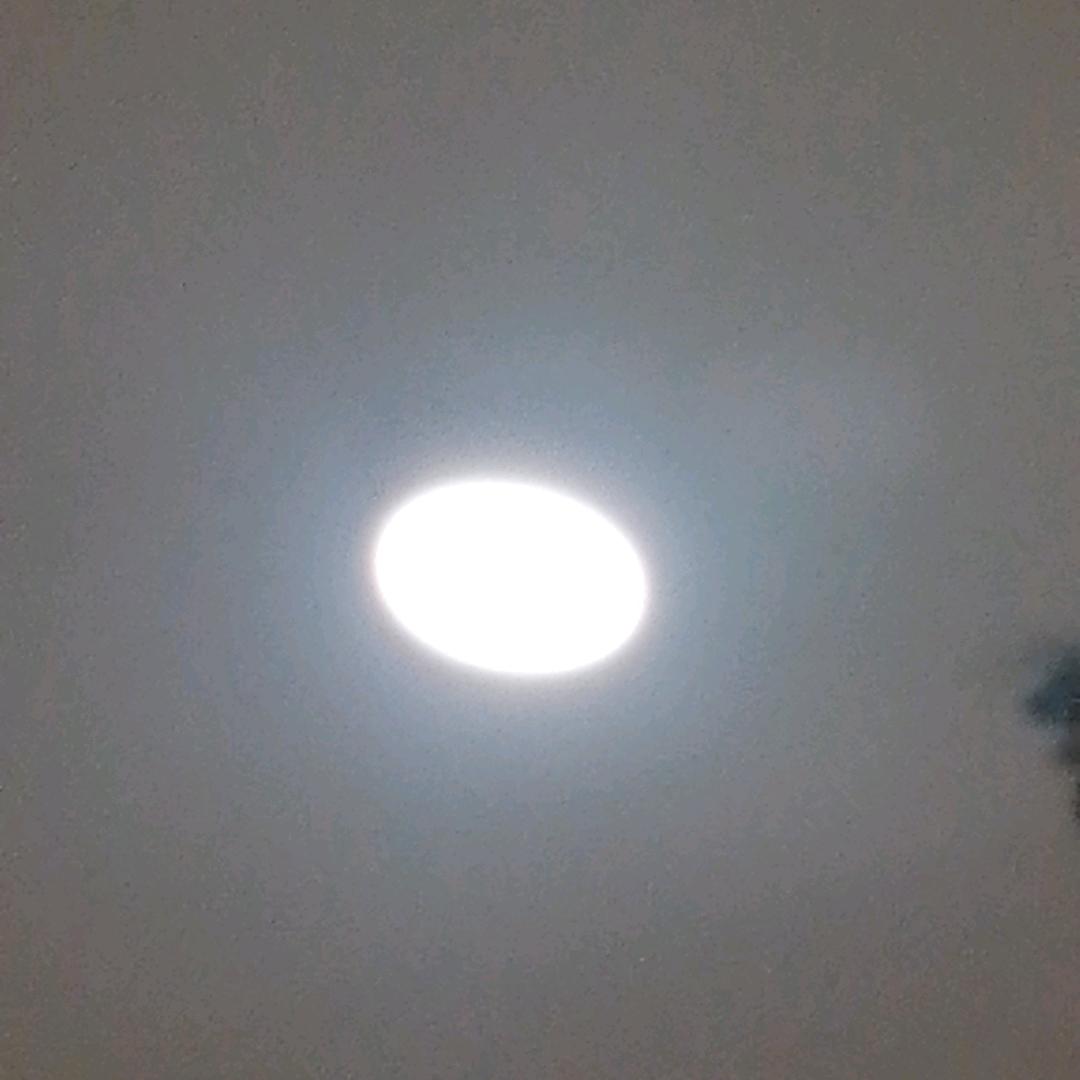 君临九天