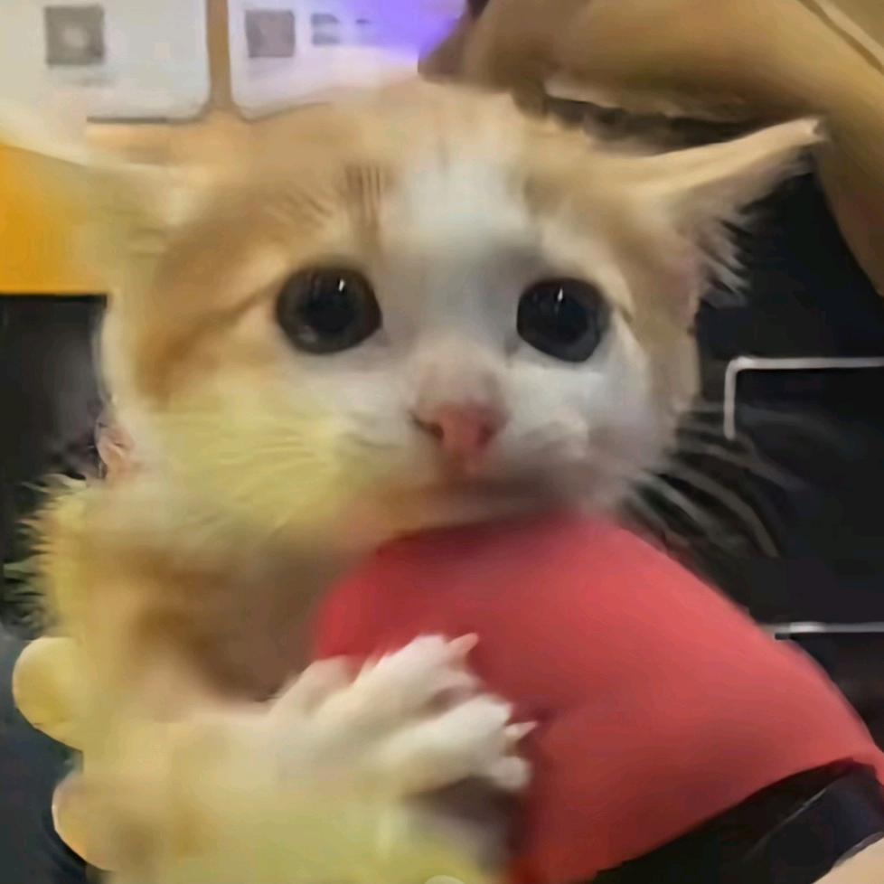 .明天见.