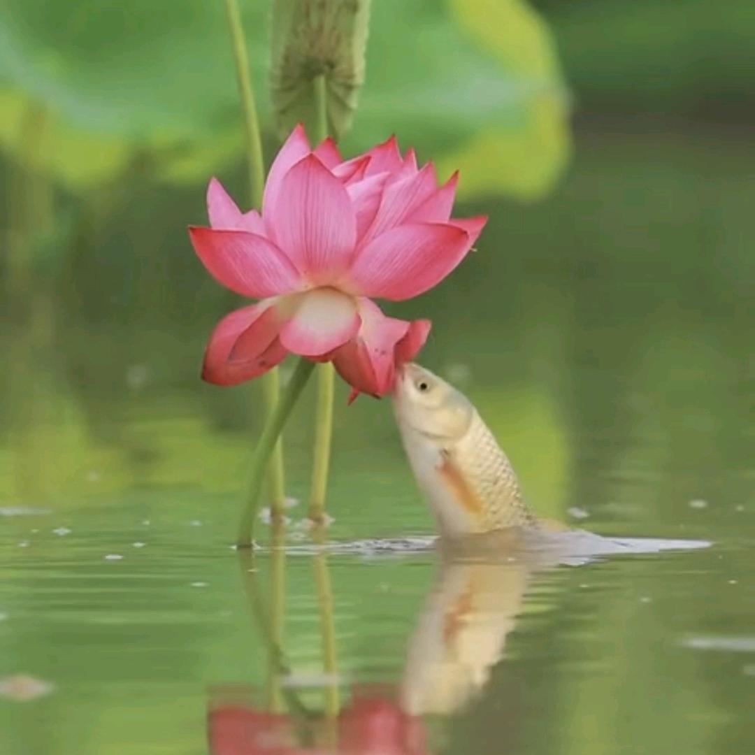 阳光☀