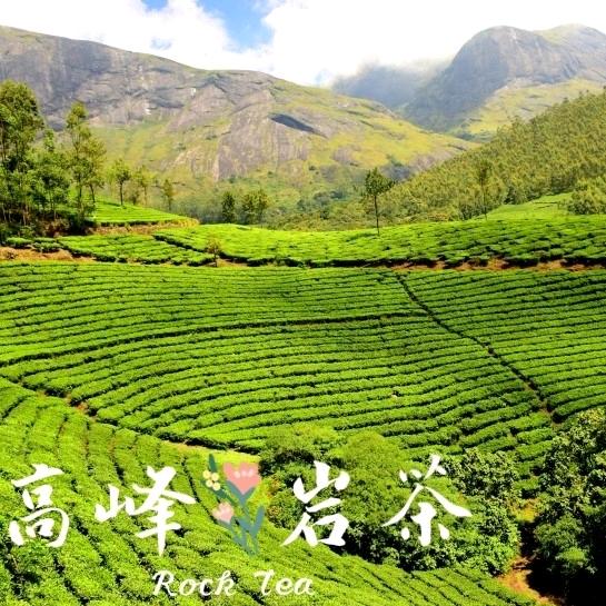 高峰、岩茶  （武夷山大红袍）
