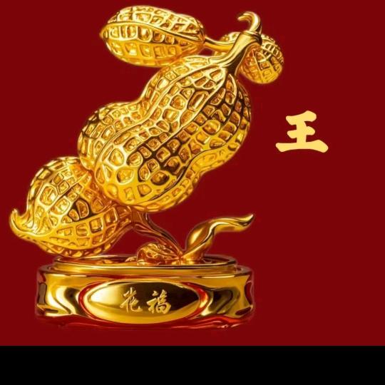 王鑫