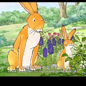 香香麻麻