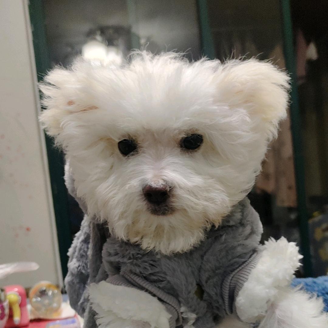 西乡（科目二考场）胡飞教练