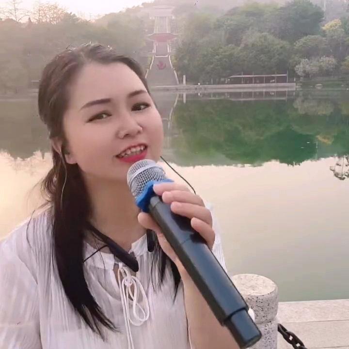 楊贵葱