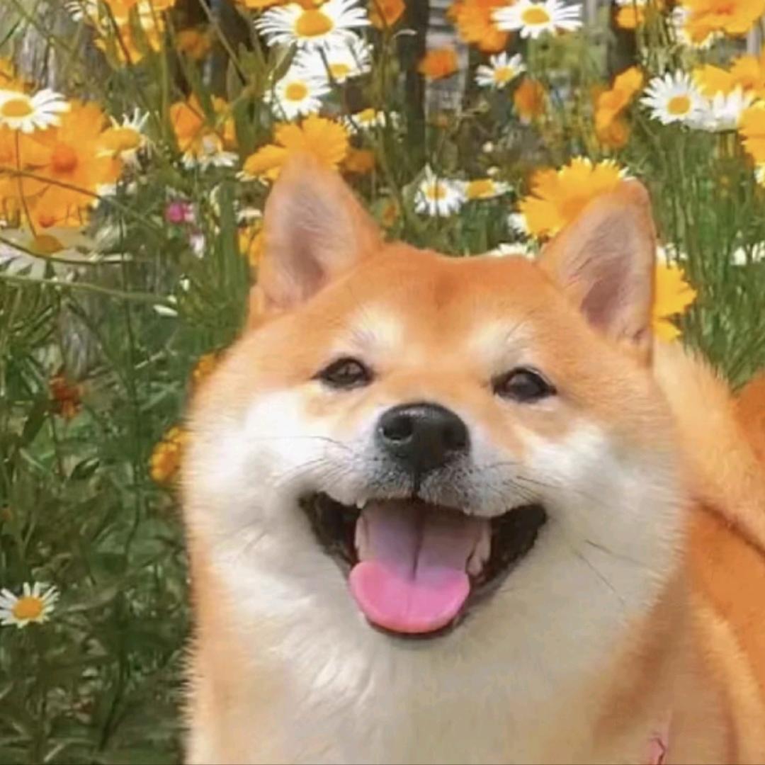 小倩