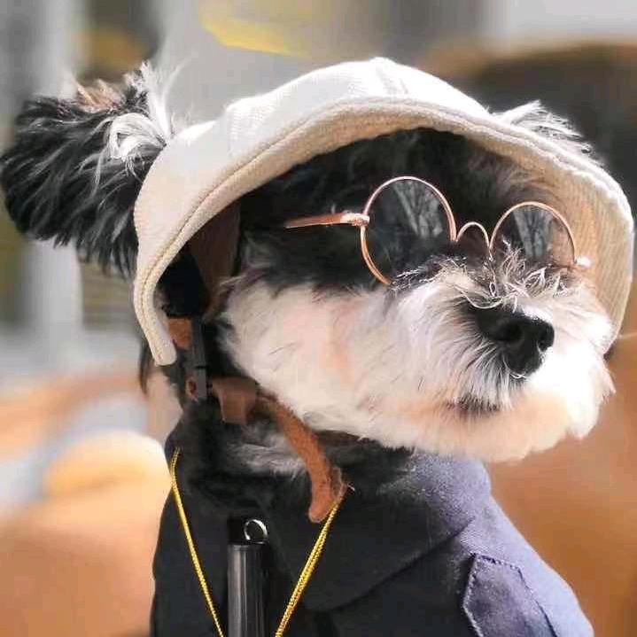 小旭法牛巴哥