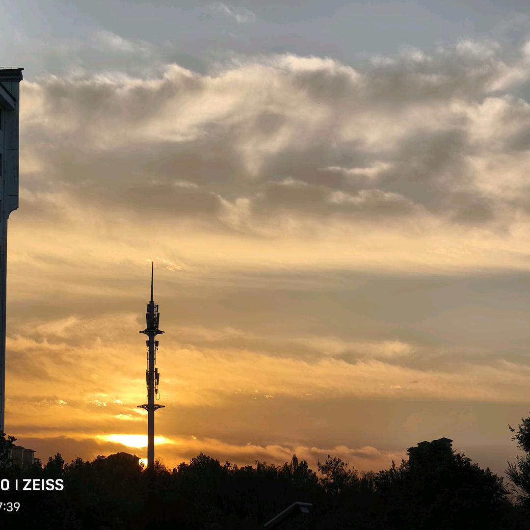 妇女头子🌻🌻🌻