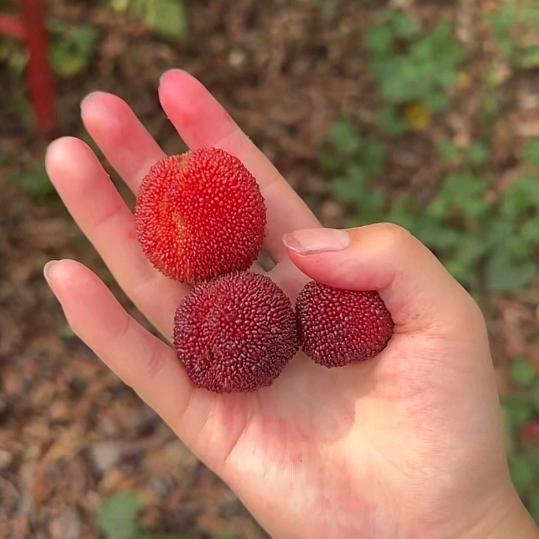 静静👧🏻⁸¹⁶