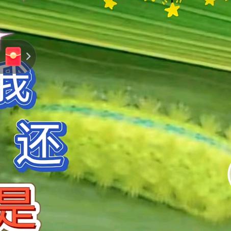 从此一个人走遍天涯