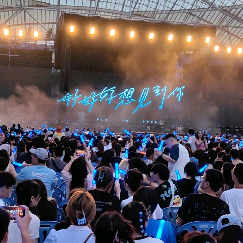 热心市民 小黄🥕