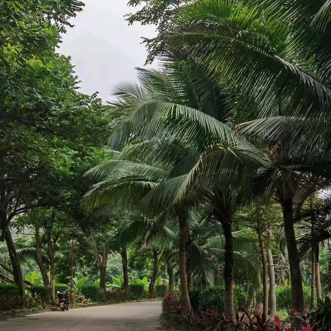 💙碧海蓝天 💜