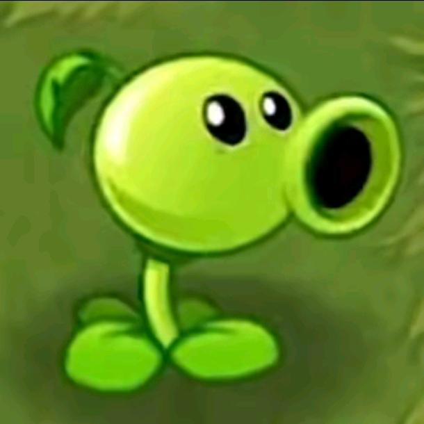 🟢  🟢  🟢  🟢
