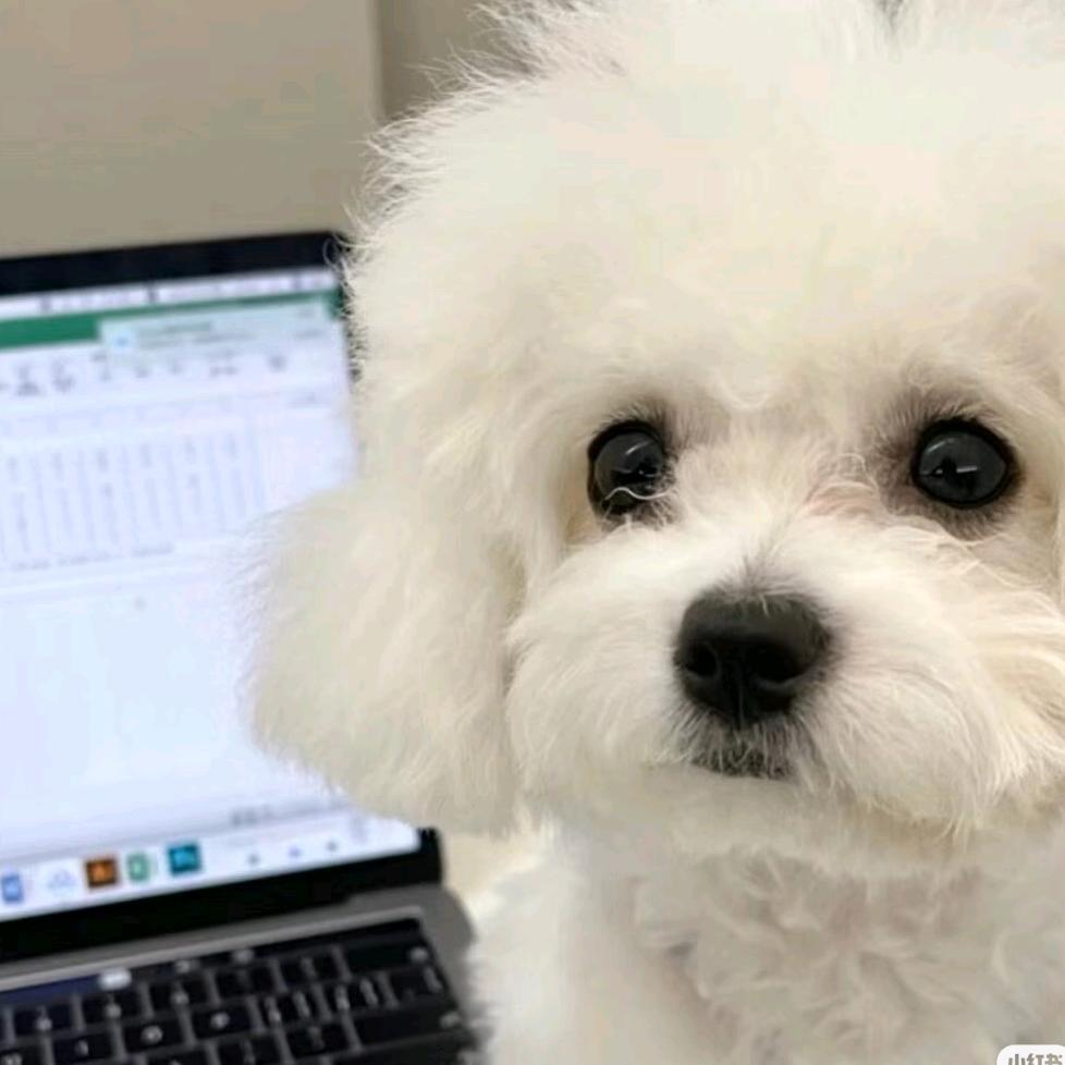 养的所有猪都白白胖胖