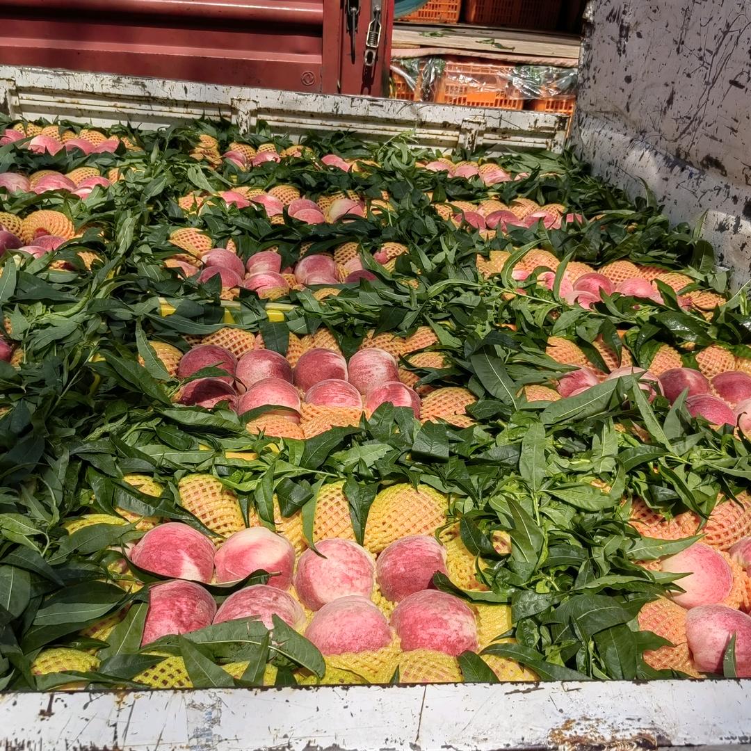 果乐源水果优品