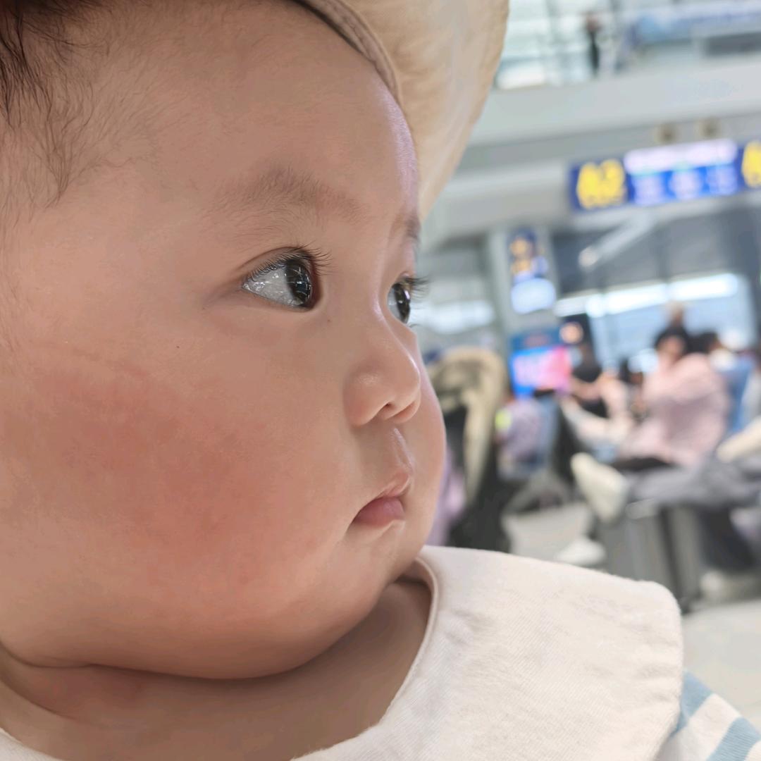 阳光树
