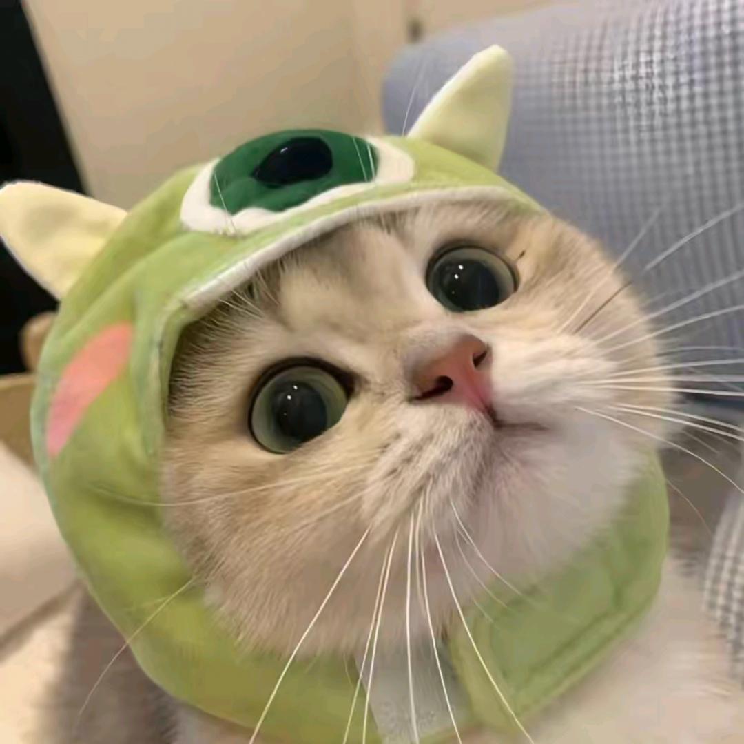大圆润