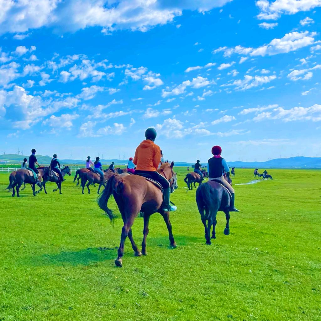 内蒙古草原美食