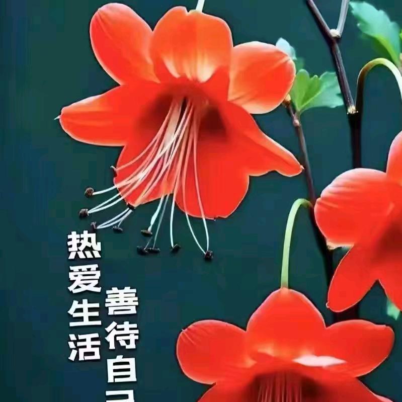 努力拼搏！