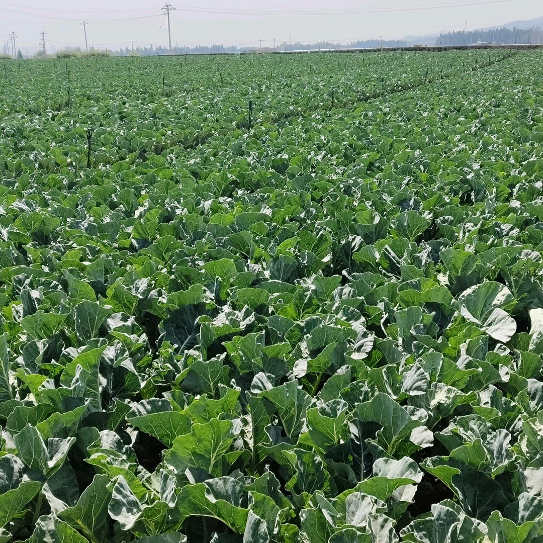 用户6479797626137赵留妹