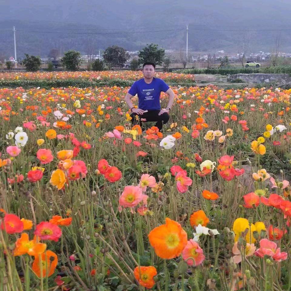 洪福好物小零食