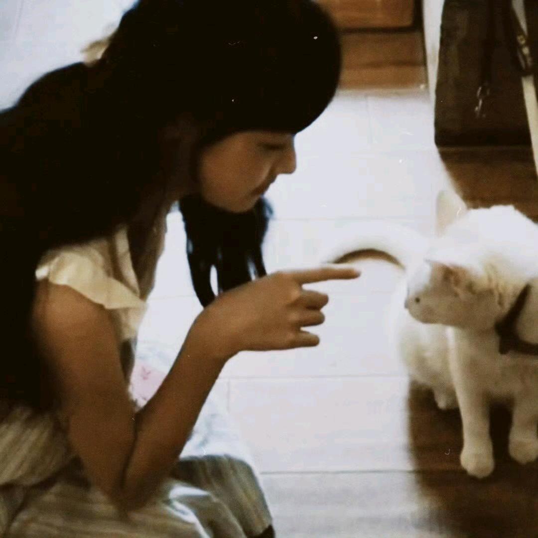 橙汁汁汁