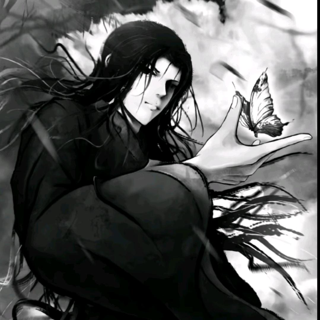 是风.
