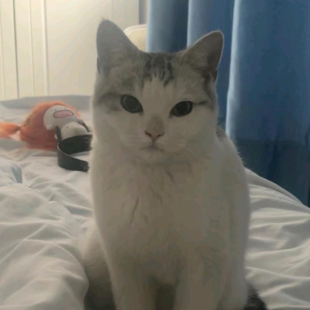 半夜偷老奶苦茶