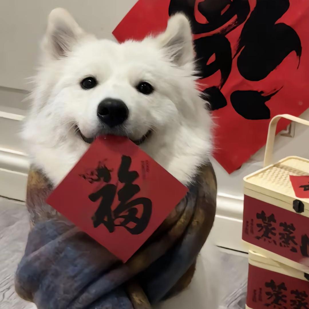 果粒橙🌈