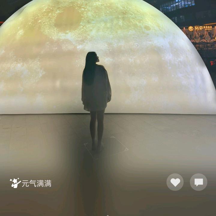 雨中的玫瑰