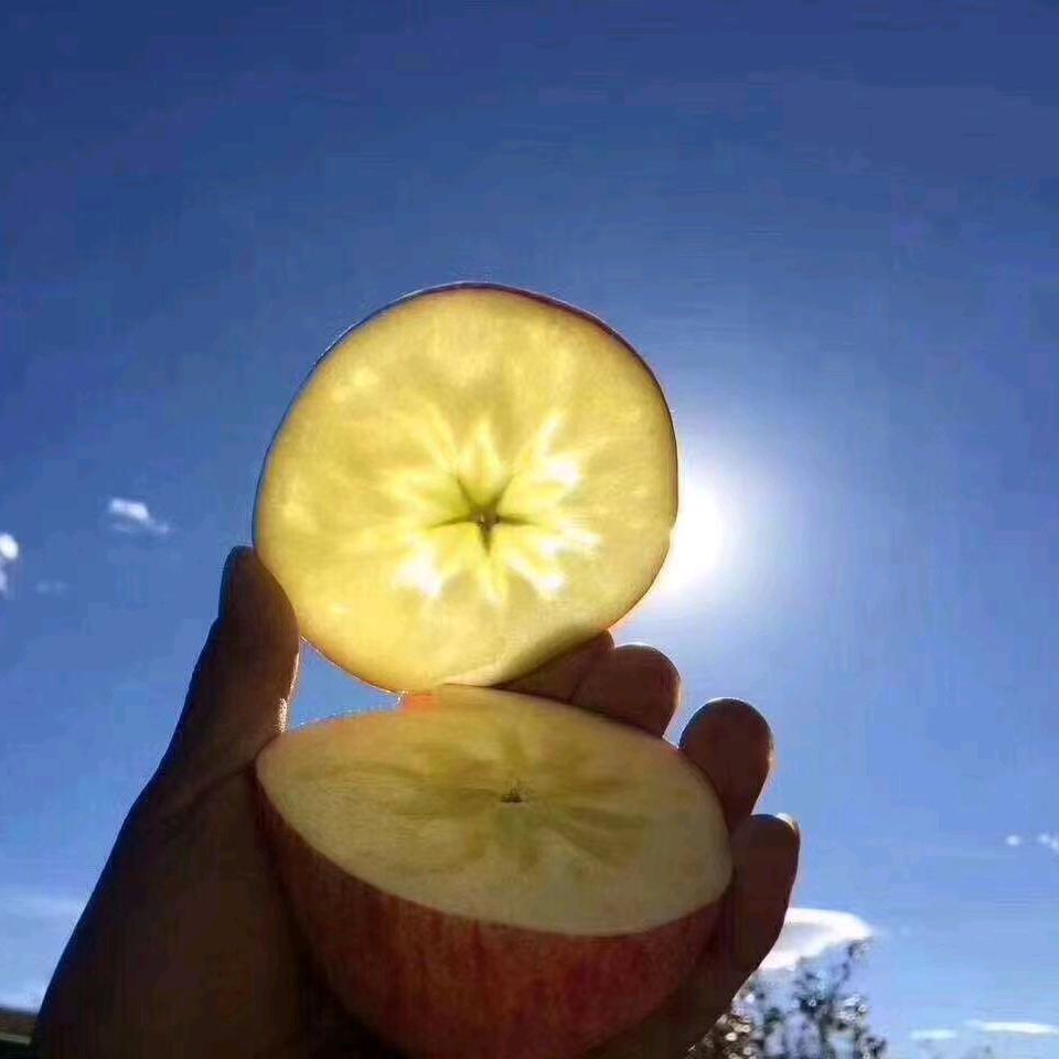 酸甜苦辣才是人生百味