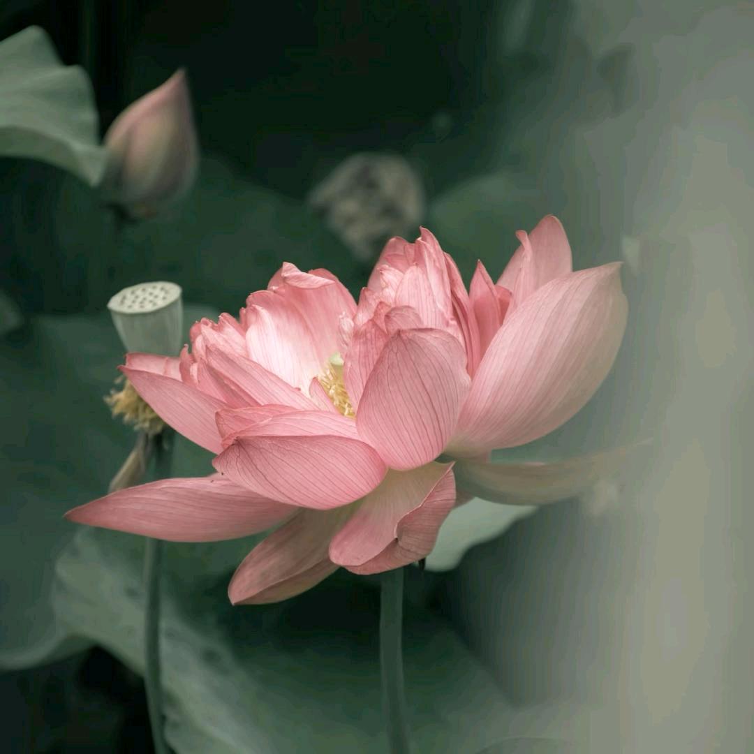 陳小貝ō