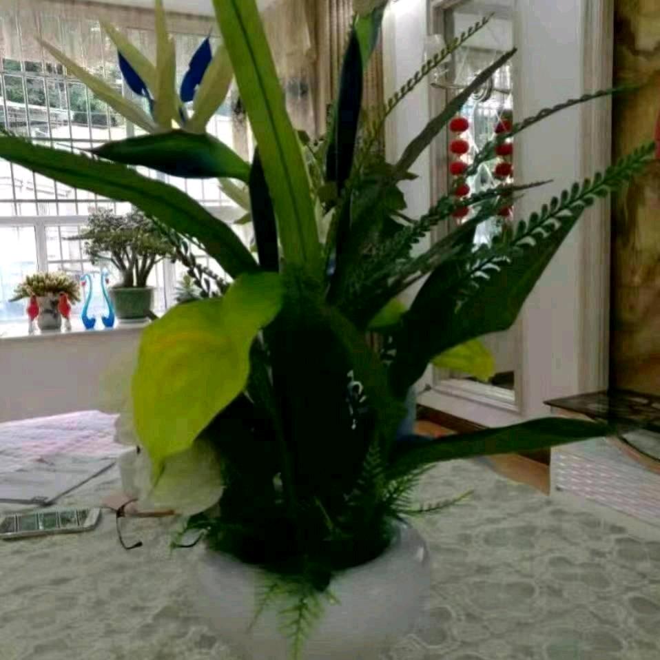 我疯我癫我骄傲