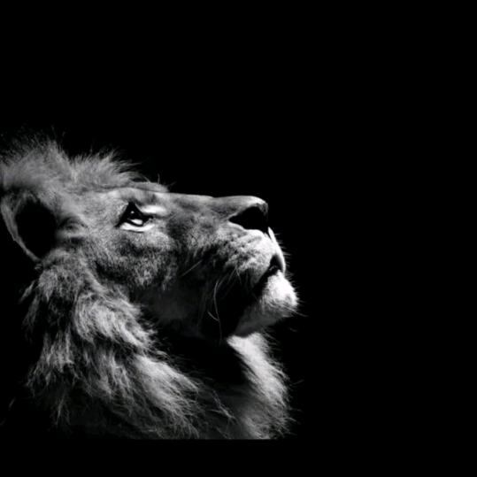 鲁甸·大飞烧洋芋