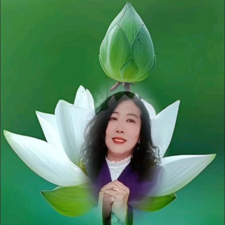 羊妹（橱窗）