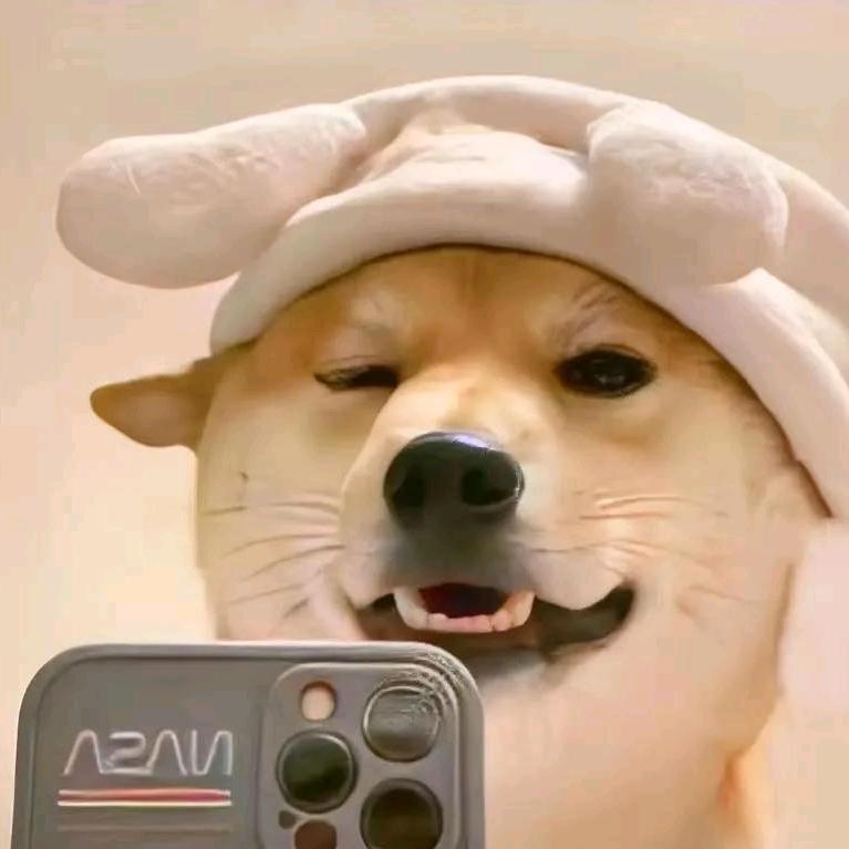 九思.