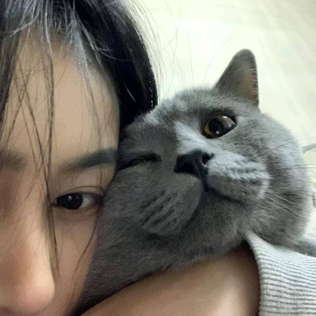 只只有鱼🐟